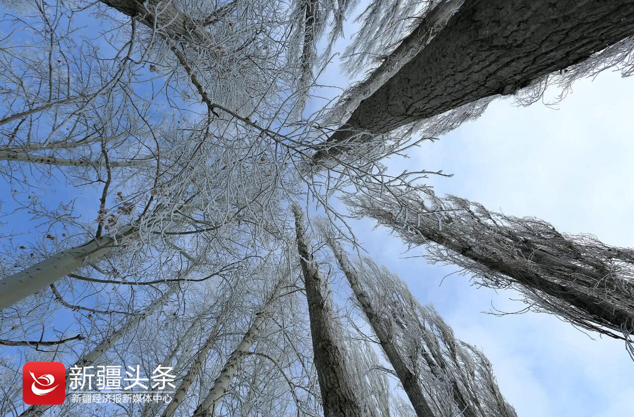 想体验哈巴河的这五条冬季旅游线路?请先备好