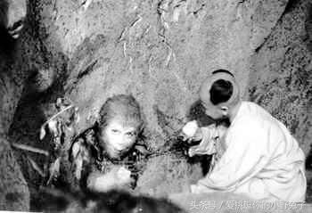 美猴王被压在山下五百年,到了唐朝!那么五百年