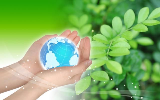 养猪人注意了 最新环保法规定 年出栏低于这个