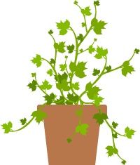 【综述】中医药干预幽门螺旋杆菌阳性慢性胃炎