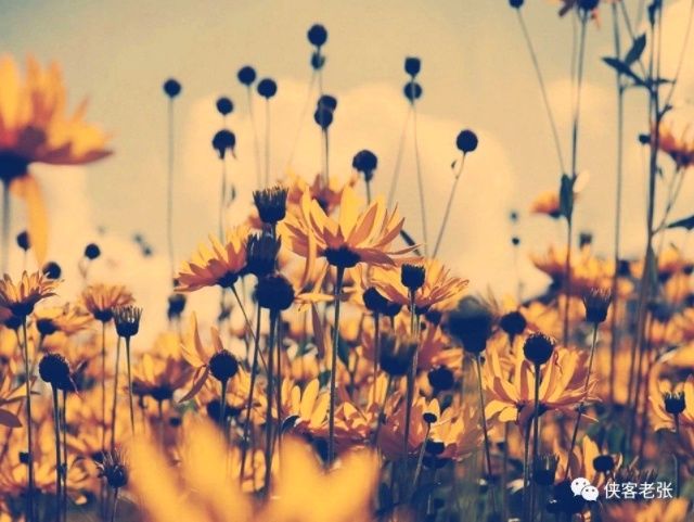 刚刚!一剂利空苦药注入中国股市,A股或将遭人