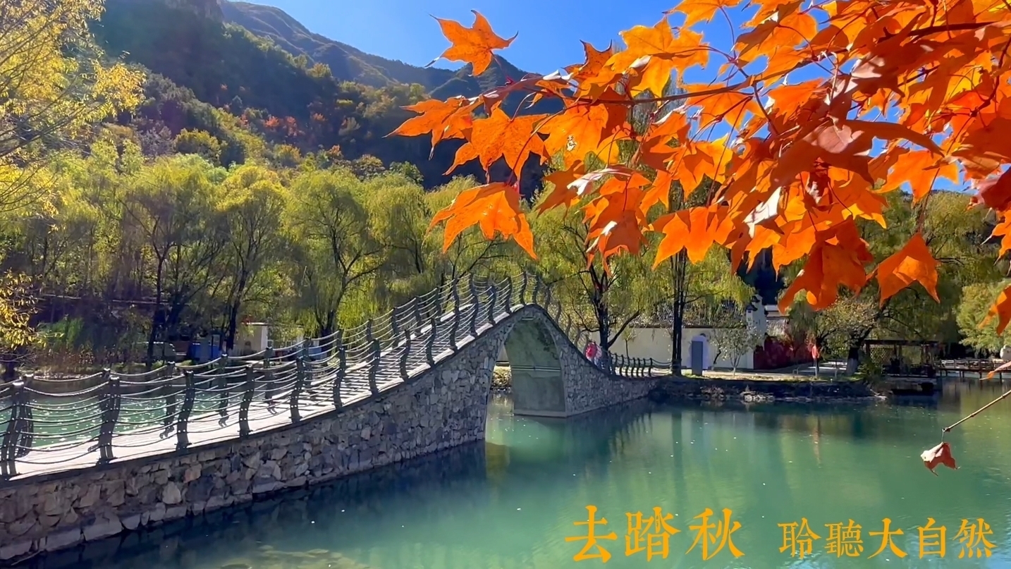 妫川秋色惹人醉 百里画廊处处景
