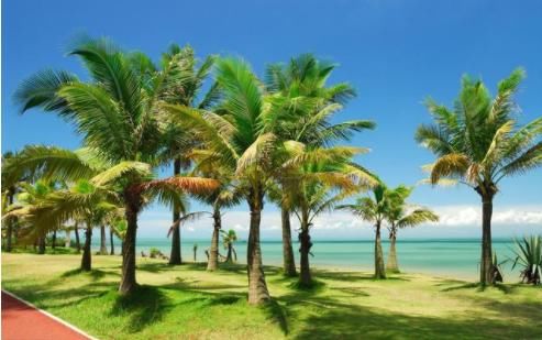 粤港澳世界级大湾区!海南自由贸易港!(收藏)