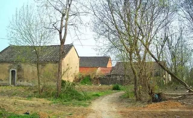 农村子女可以继承确权后的土地吗?