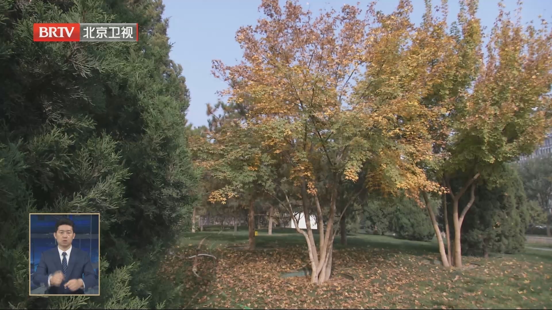 北京正式进入森林防火期 北京正式进入森林防火期