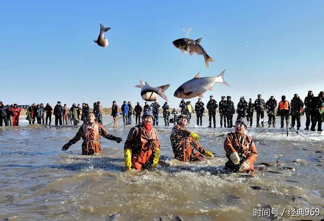冬捕鱼那么多，为什么只选红海滩卧龙湖的鱼?