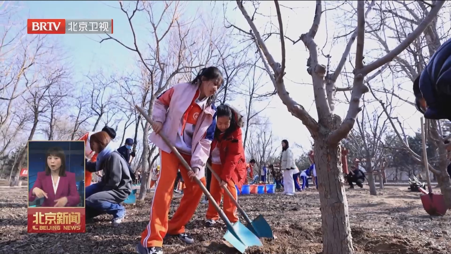 全市举办“绿地大扫除”义务植树主题尽责活动