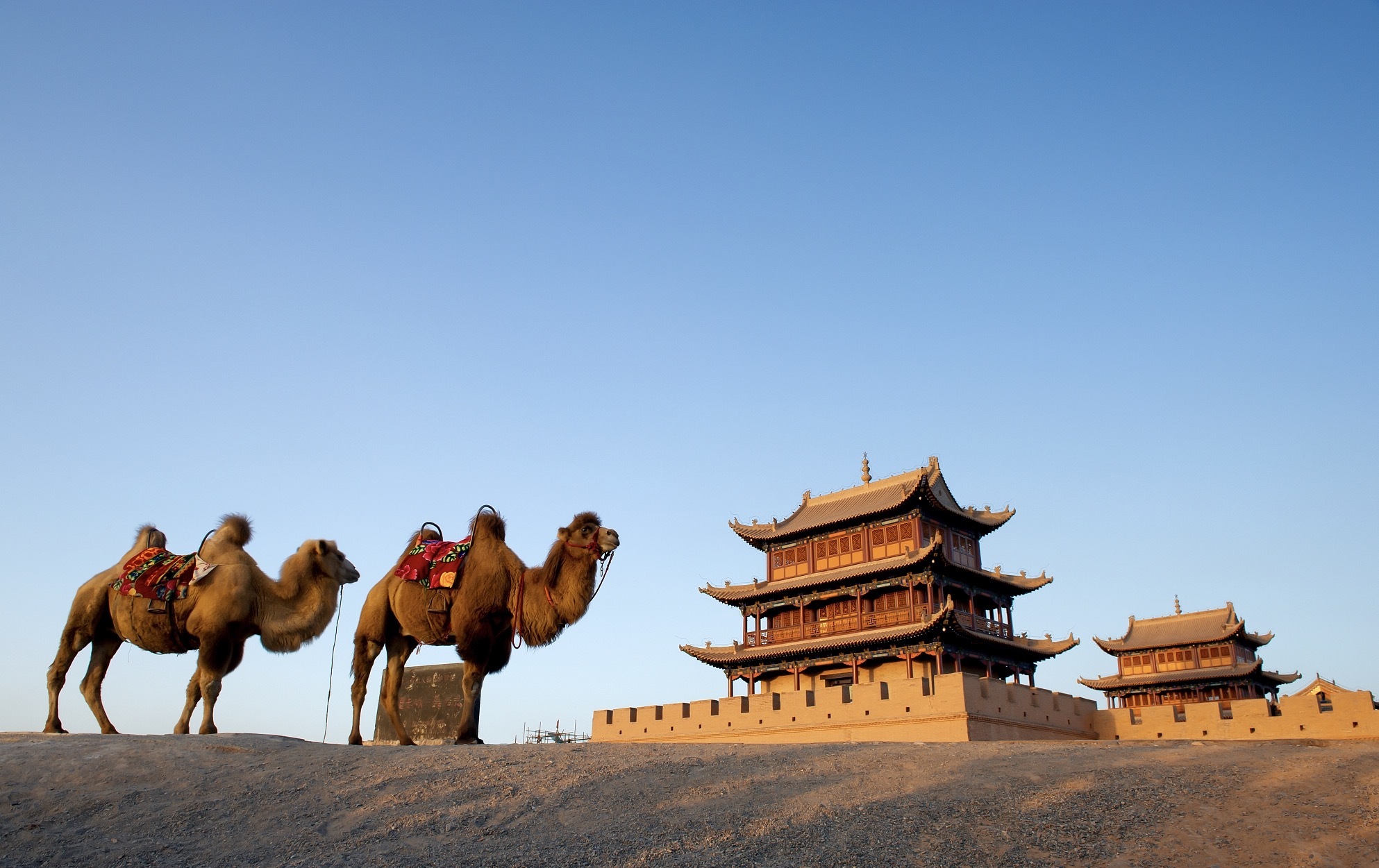 吐鲁番直击!温度最高山头惊现“铁公鸡” 吐鲁番直击!温度最高山头惊现“铁公鸡”