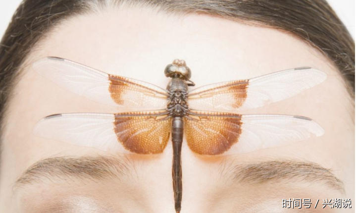 厉害了,根据脸上长痘痘的位置判断对应身体内