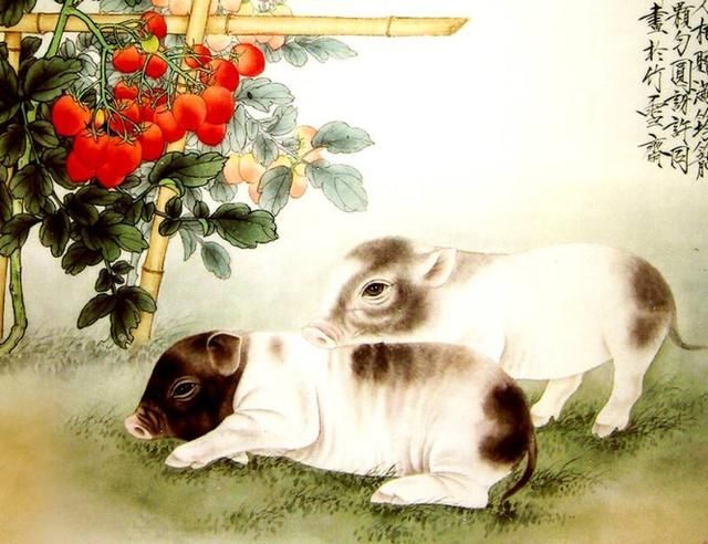 穷富有命,生死由天:71年的苦命猪,现在48岁大限