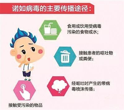 幼儿园学生呕吐腹泻,医生检查为诺若病毒!家长