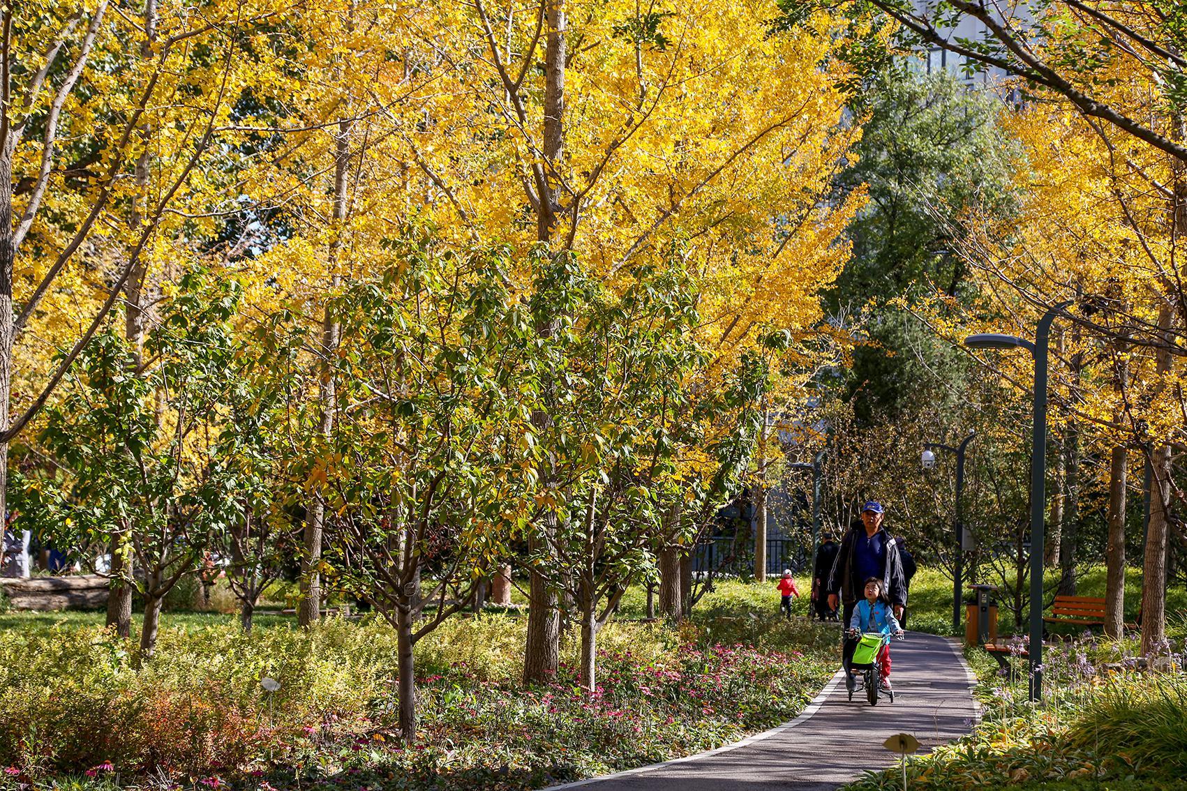北京将新建21处城市森林 8处已建成