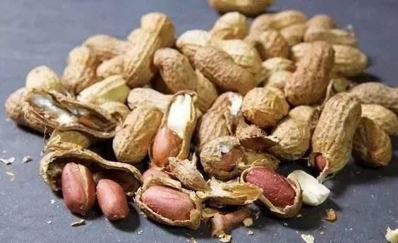 常用此物泡水喝,每天一杯,健脾胃,降血压,气色更