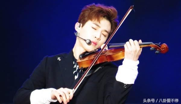 刘宪华粉丝因大华骂黄磊、何炅!两人无奈给