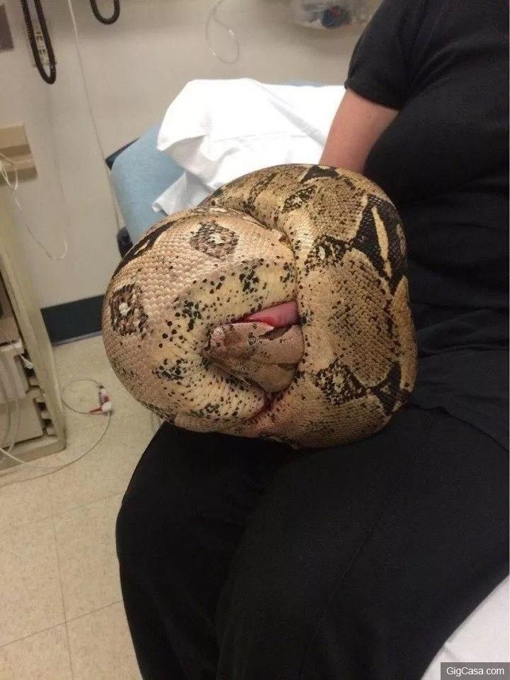 这22张傻眼照片证明地球人可能才是外星人眼中的怪物