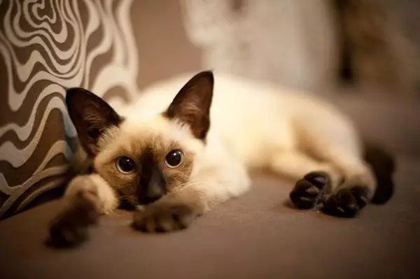 t01ce7d4c9c3411aaaa.jpg?size=600x399