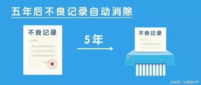 绝招!小鹅贷教你如何提高征信!
