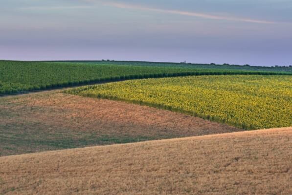 土地性质变更要多少钱?找那个部门?申请需要