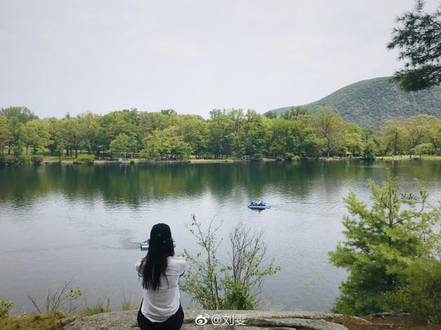 刘雯晒坐湖边背影清新淡雅 引得网友纷纷围观调侃