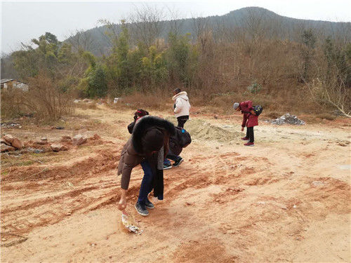 外国志愿者助力金堂福兴城乡社区发展治理工作