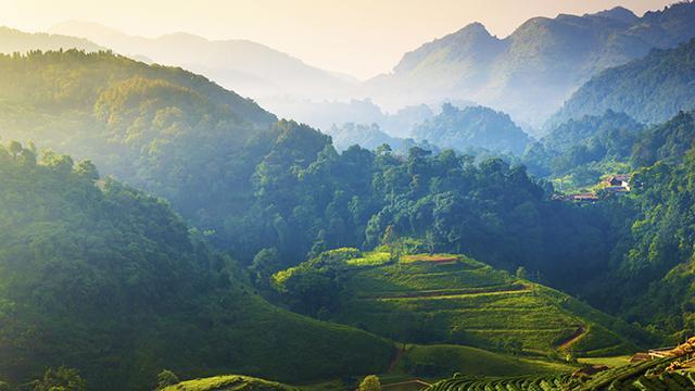 美术大师谈建立“一带一路”绿色发展国际联盟 美术大师谈建立“一带一路”绿色发展国际联盟