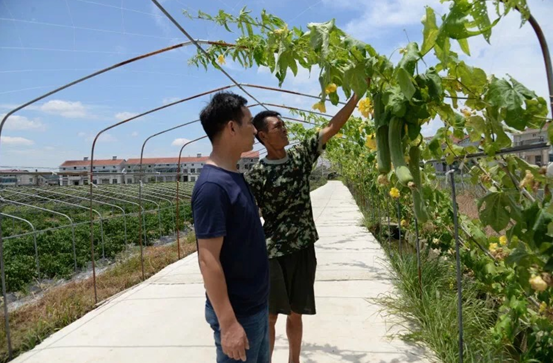 岳阳县张谷英镇:贴心书记徐粟军真心为民谋福