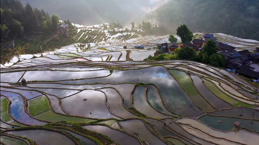 低头看见云卷云舒!加榜梯田如天空之镜,映像极致梦幻! 低头看见云卷云舒!加榜梯田如天空之镜,映像极致梦幻!