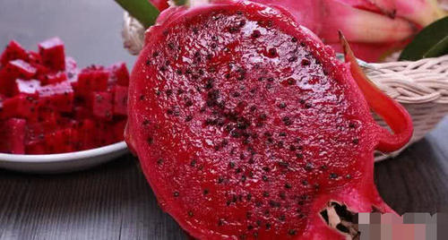 常吃的红火龙果的营养,99%的人不知道