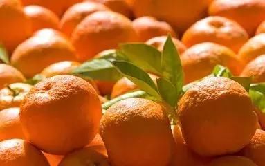 柑橘市场崩塌之后,这种乱象开始出现…