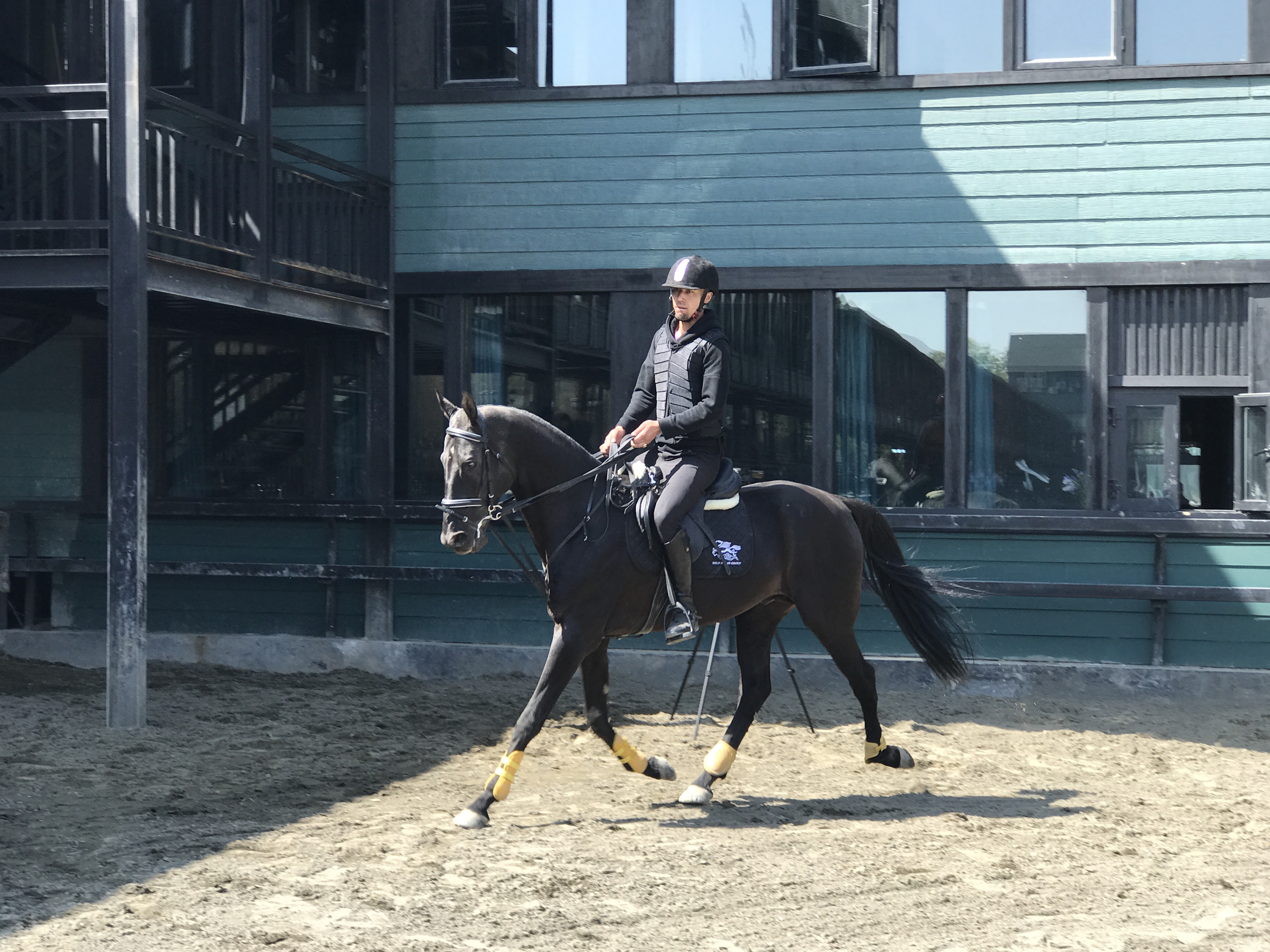 混血帅哥身骑汗血宝马 拯救美女主播