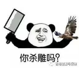 在香港如何避免被罚款?去香港旅游前要提前看