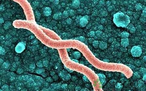 梅毒前期症状有什么征兆