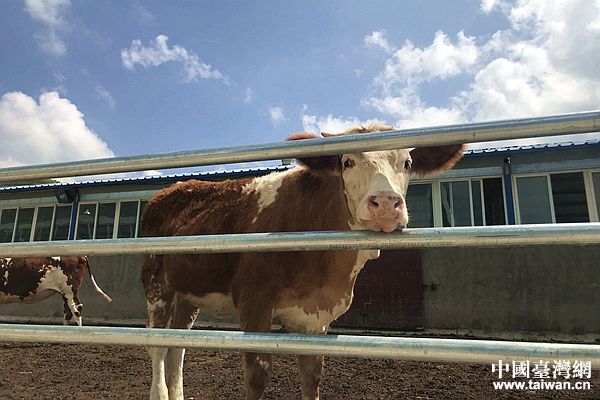 点赞宁夏60年 全国网媒记者走进西吉县生态循环农业示范园区