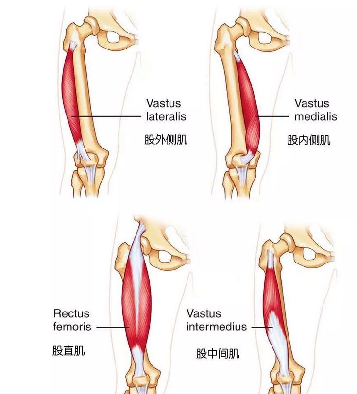 大腿前侧拉伸大全 甩掉大象腿 再也不怕瑜伽后