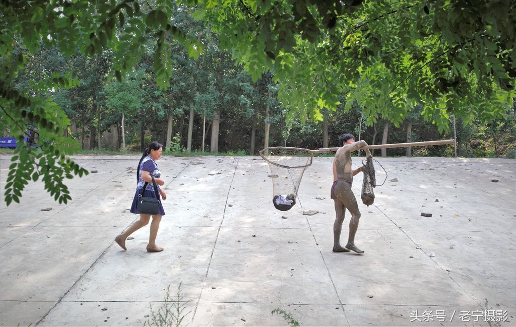 黄河有鱼天上来,两岸百姓捞鱼忙,今年大河流鱼