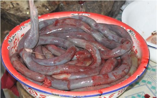 实拍农村灌猪血肠的情景,城市人根本无法想象