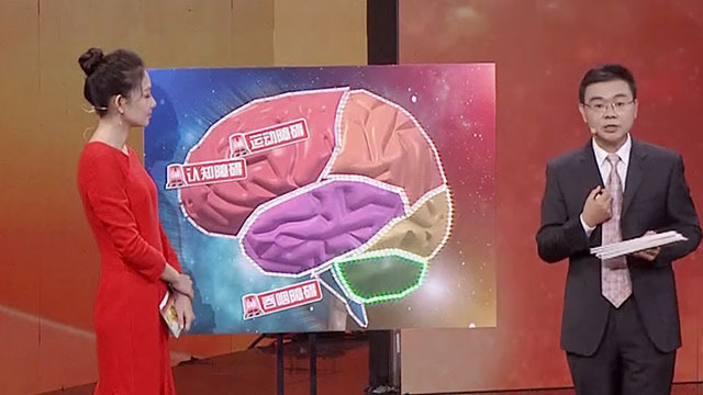 《养生堂》20181029战胜卒中 再立人生(三) 《养生堂》20181029战胜卒中 再立人生(三)