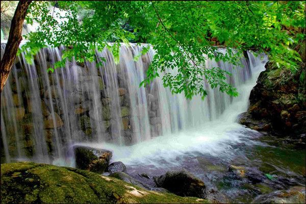 河南省这个名山厉害了,是中国四大避暑胜地之