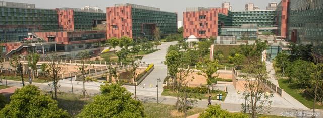 西交利物浦大学2017年录取分数线