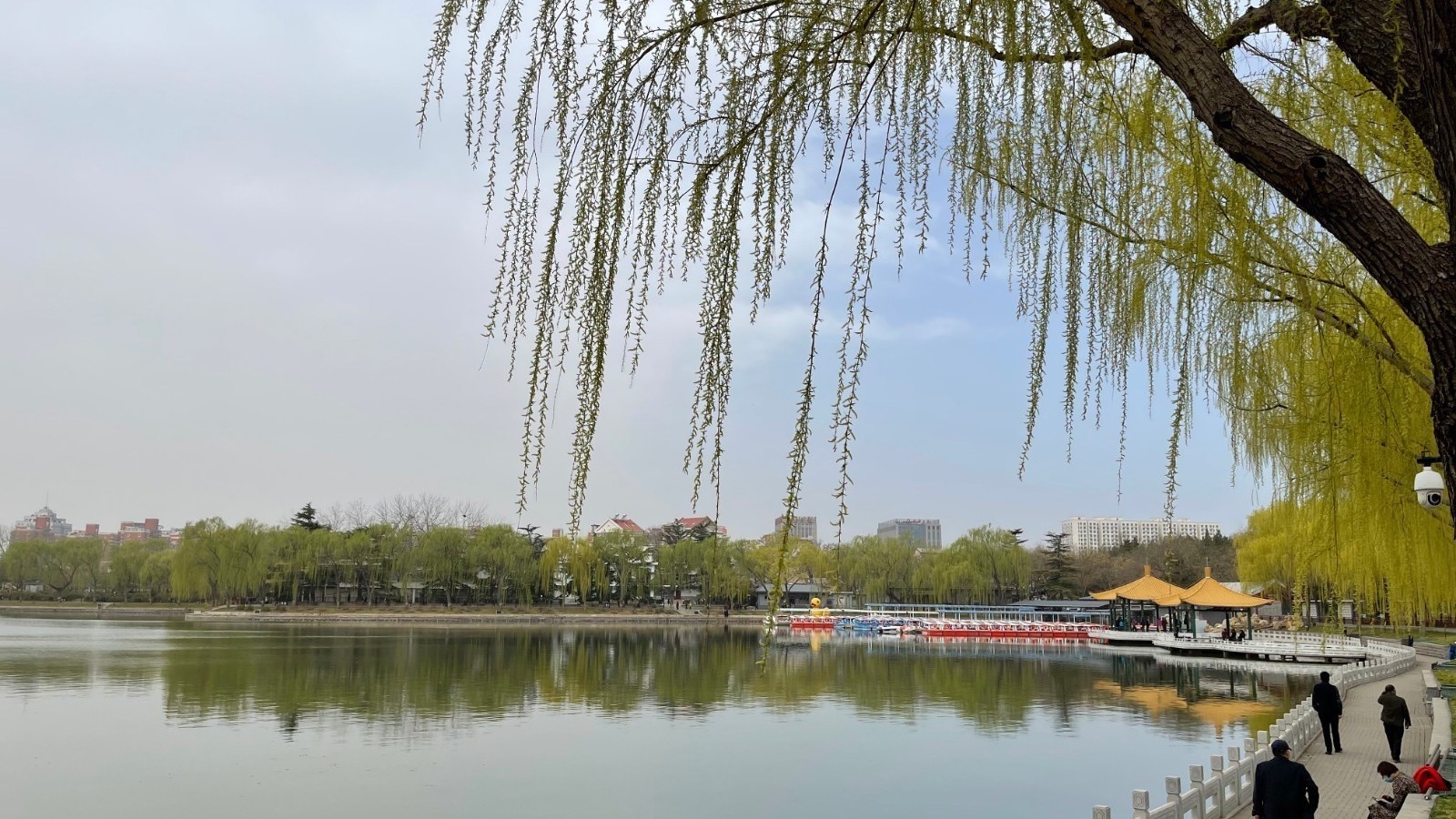 北京陶然亭公园200余条船开航 喜迎春天 北京陶然亭公园200余条船开航 喜迎春天