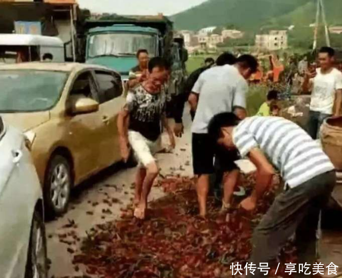 越南水果滞销, 对华出口量猛增, 国内滞销却扔掉