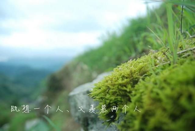 申亥相害,申酉戌三会,寅申相冲,申子辰三合