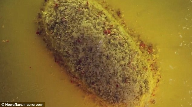 第二片参与实验的药片是一片标准布洛芬含片。这是一款在全世界各国都得到广泛使用的儿童退烧药。