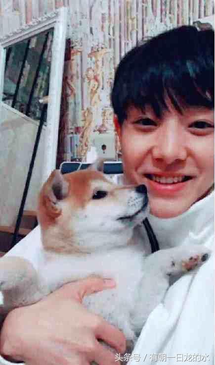 抖音张欣尧的一千多万粉丝却被代古拉K反