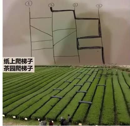 《犯人就是你》Netflix首播,会超越导演的前作R