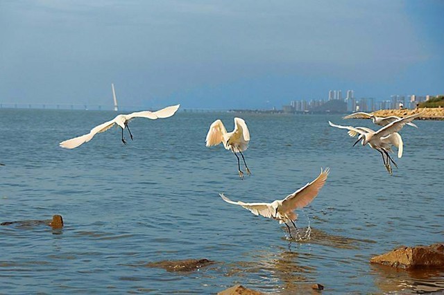 深圳福田区周边有哪些好玩的地方?