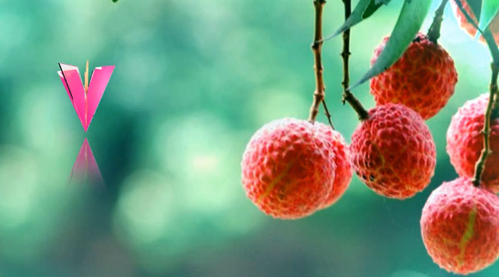 节气宣传ID- 今日小暑 节气宣传ID- 今日小暑