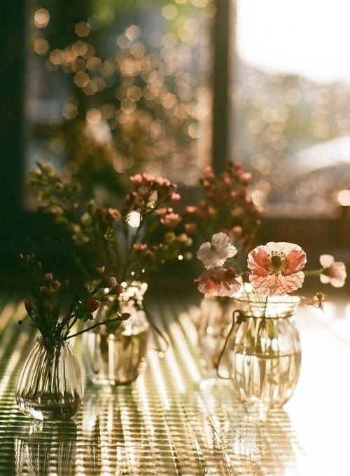 暗示放弃一个人的句子,越读越难过,看了让人想