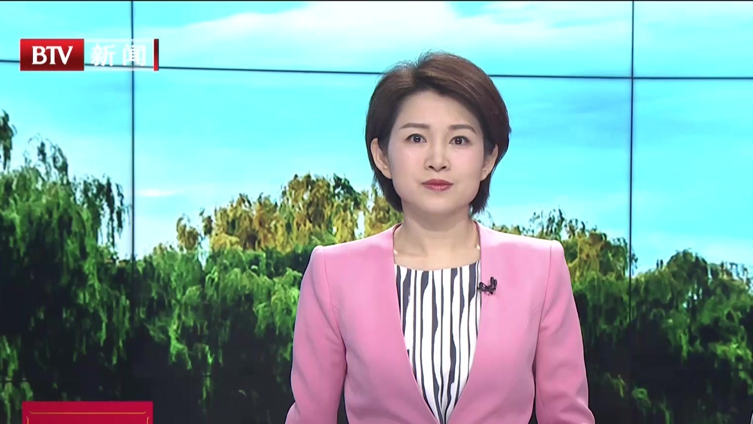 北京落实中央扫黑除恶督导组反馈意见整改工作方案公布 北京落实中央扫黑除恶督导组反馈意见整改工作方案公布