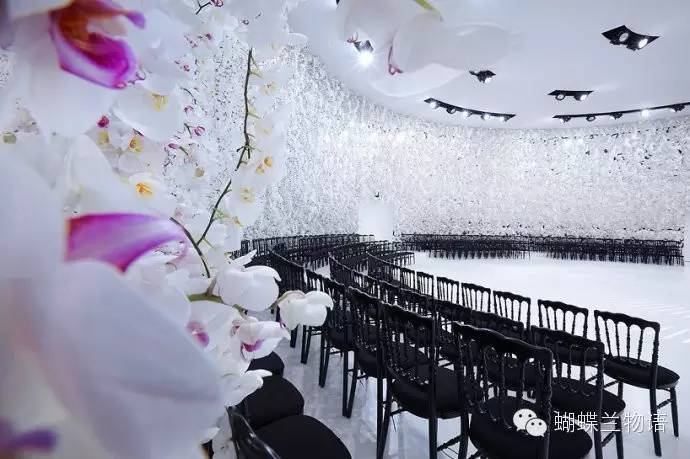 美cry!|dior的白色梦幻蝴蝶兰花海秀场
